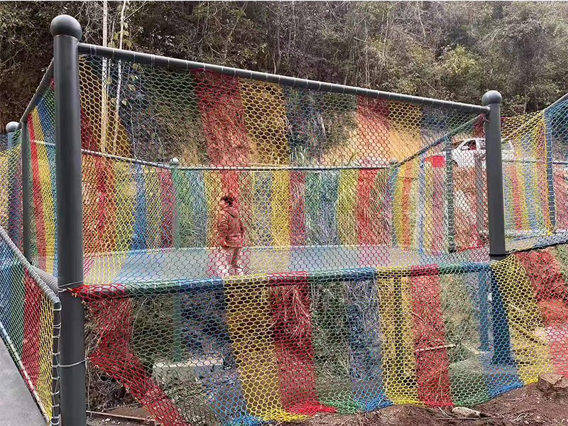 叢林魔網