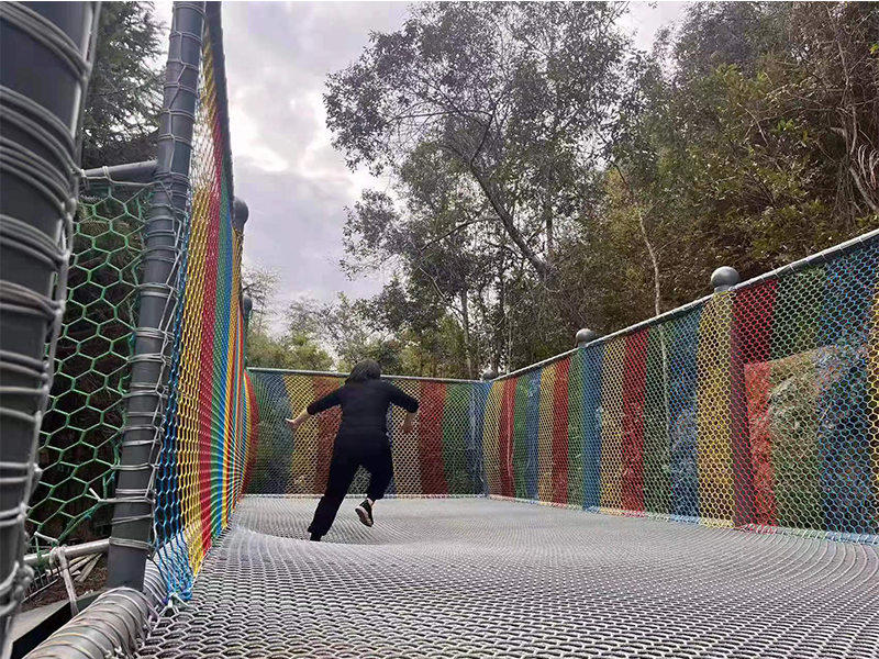 叢林魔網
