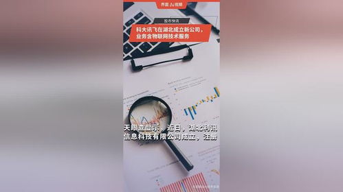 科大訊飛在湖北成立新公司，拓展物聯(lián)網(wǎng)技術服務版圖